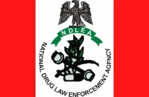 What-Is-The-Full-Meaning-Of-NDLEA-And-Their-Functions