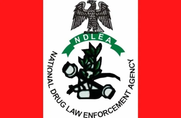 What-Is-The-Full-Meaning-Of-NDLEA-And-Their-Functions