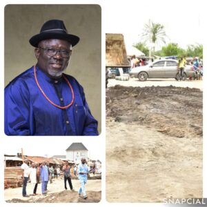 collage_3_0-1750345766666