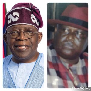 collage_2_0-1751712876839