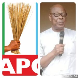 collage_2_0-1755871612328