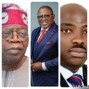 collage_3_0-1755100422758