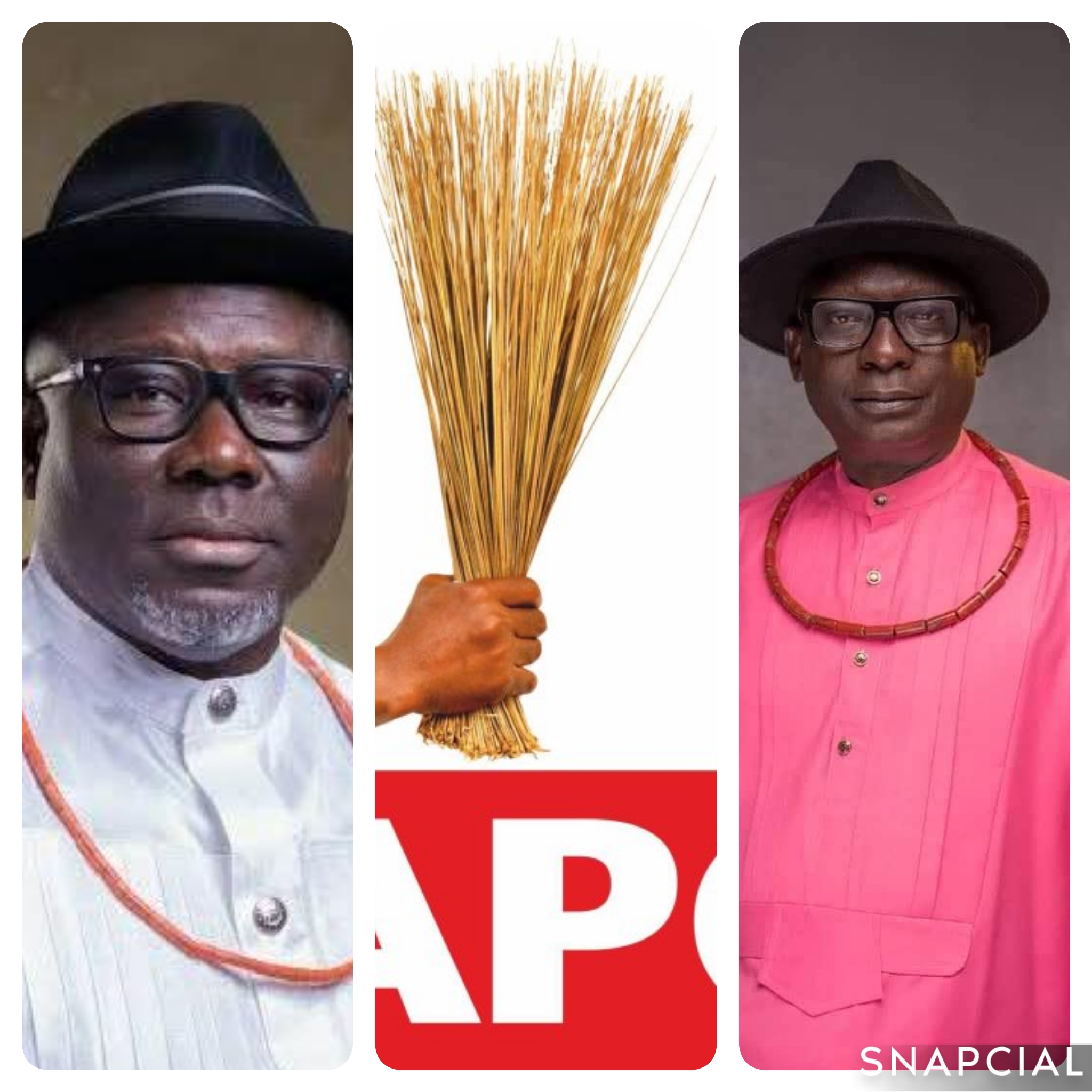 collage_3_0-1755529027424