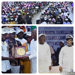 collage_3_0-1759367920519