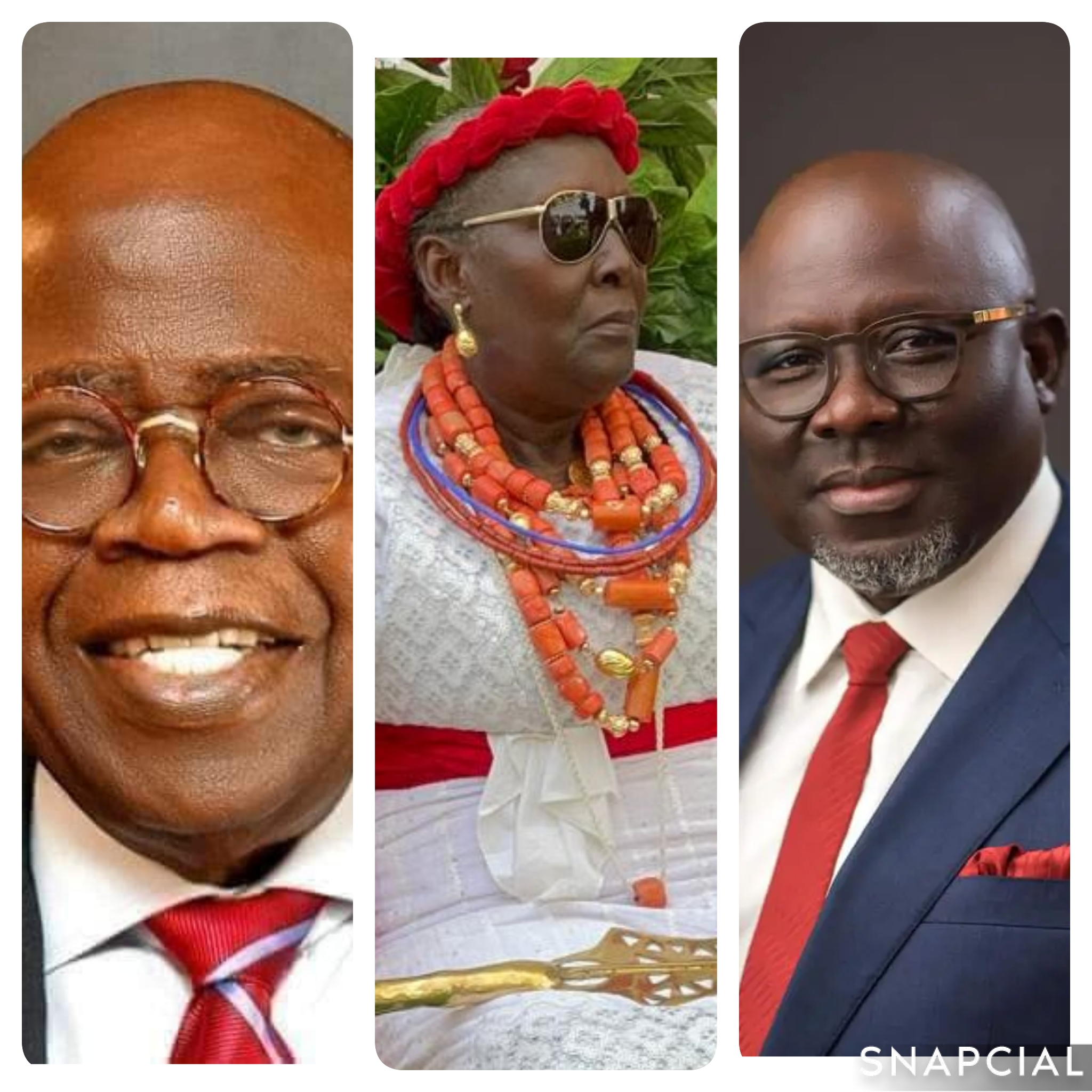 collage_3_0-1759641438734