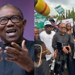 FB_IMG_1770647726905