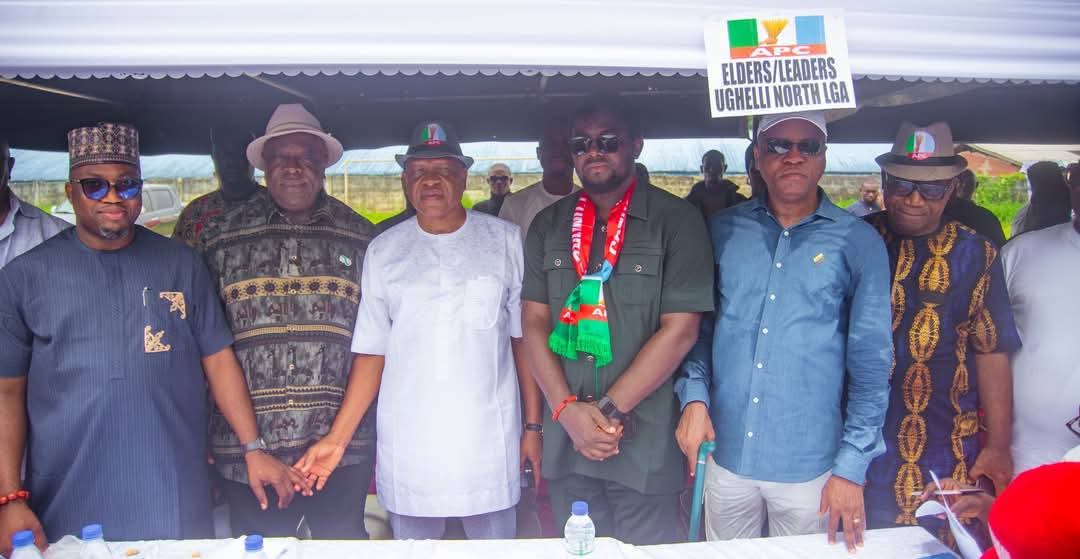 FB_IMG_1771696064341