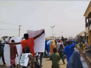 FB_IMG_1772053262768