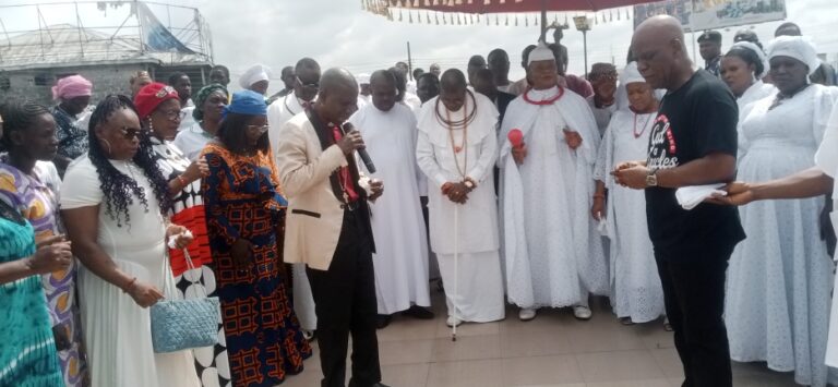 IMG_20260228_104328_497-768x355